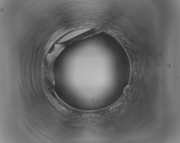 X0000071850242200607141757