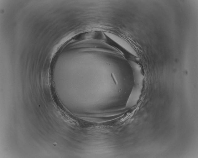 X0000071850244200607141757