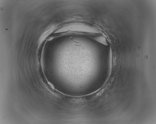 X0000071850245200607141757