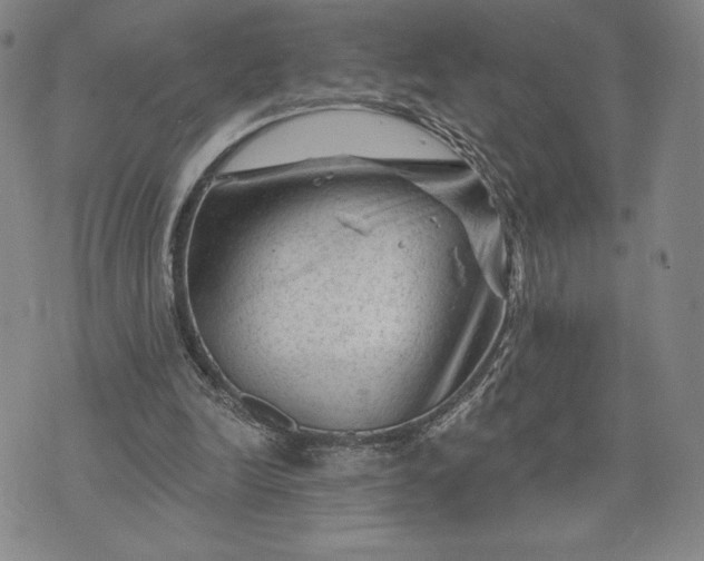 X0000071850246200607141757