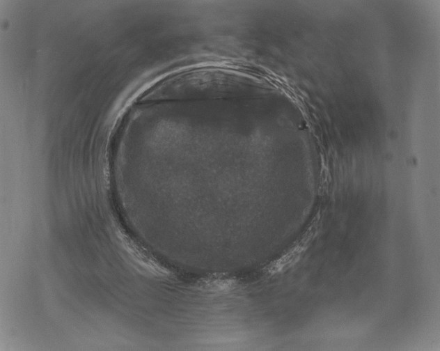 X0000071850247200607141757