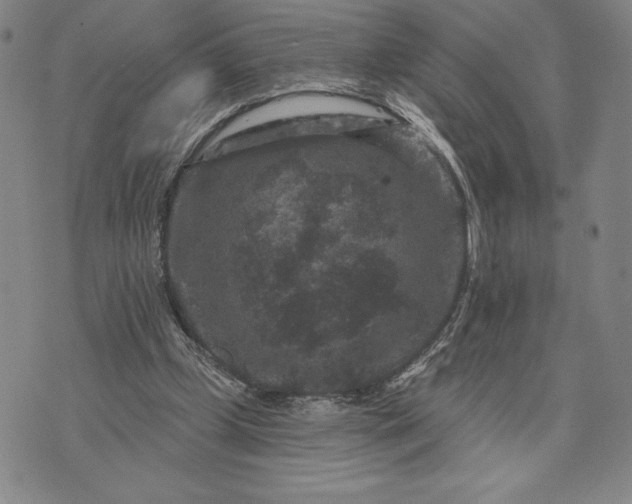 X0000071850249200607141757