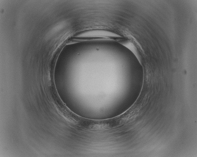 X0000071850251200607141757