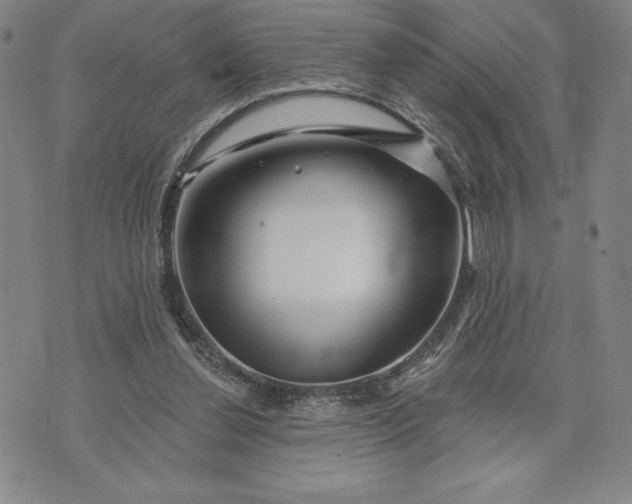 X0000071850252200607141757