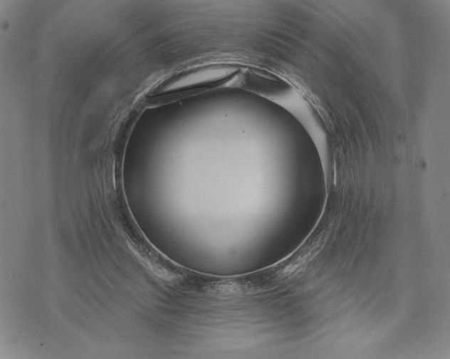 X0000071850253200607141757