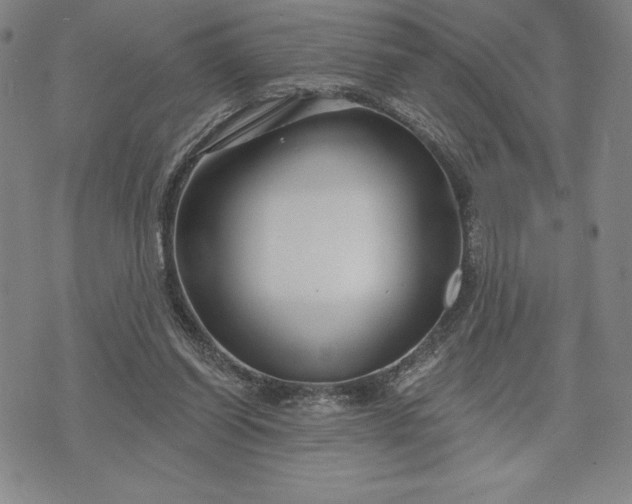 X0000071850254200607141757