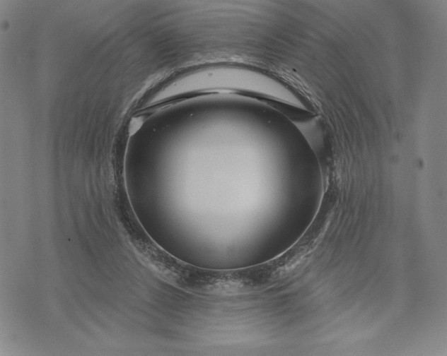 X0000071850256200607141757