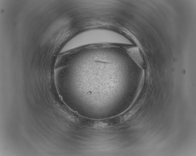 X0000071850257200607141757