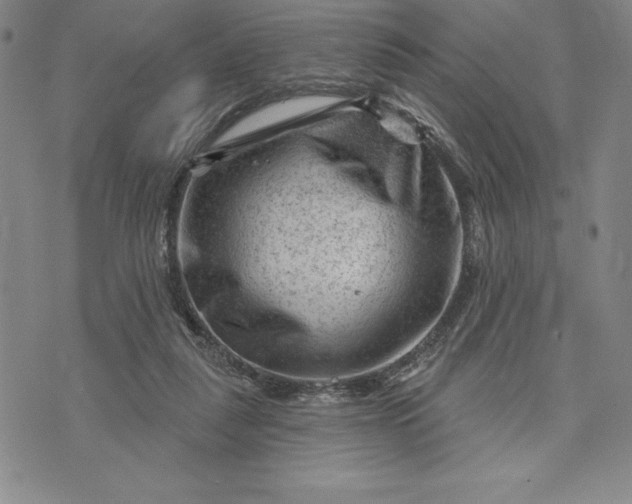 X0000071850259200607141757