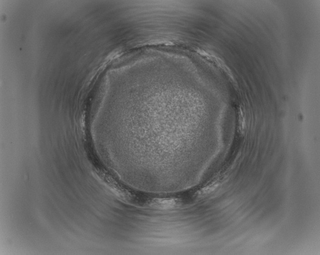 X0000071850260200607141757