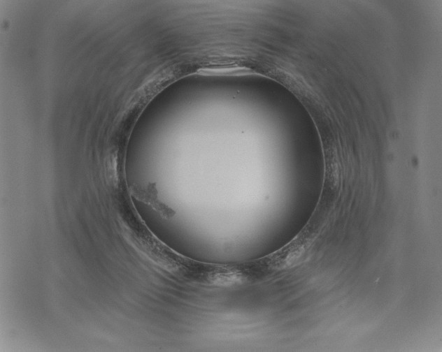 X0000071850262200607141757