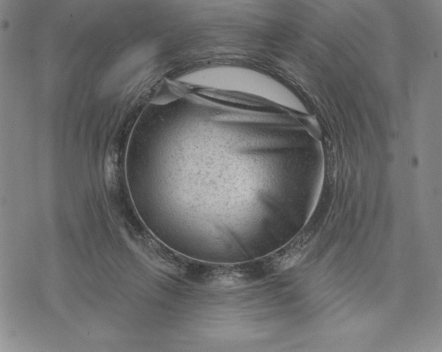 X0000071850263200607141757