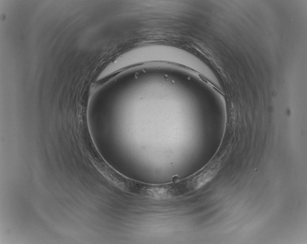 X0000071850265200607141757