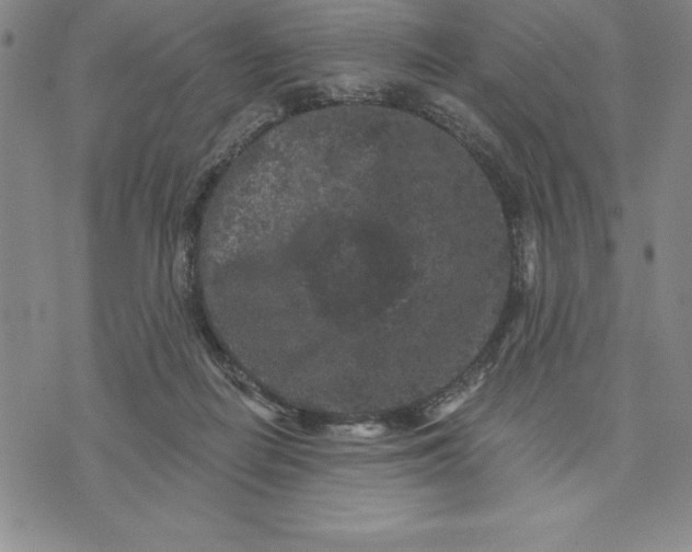 X0000071850266200607141757