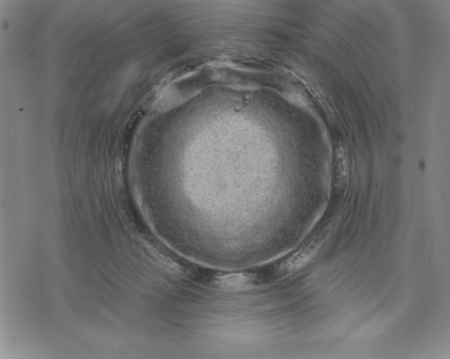 X0000071850269200607141757