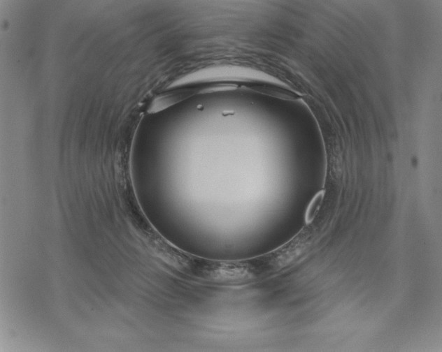 X0000071850270200607141757