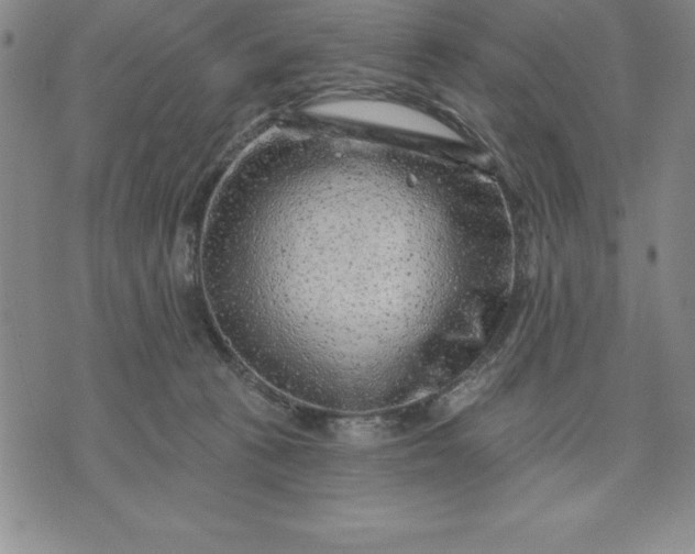 X0000071850273200607141757