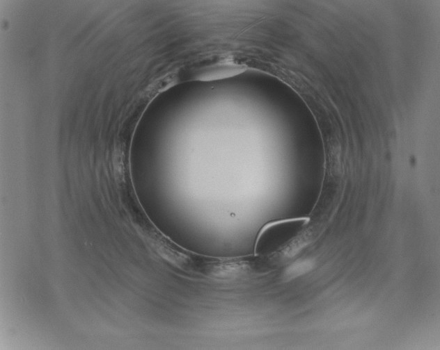 X0000071850274200607141757