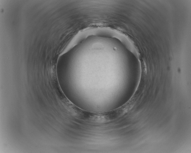 X0000071850276200607141757