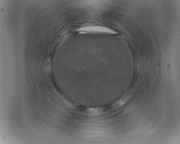 X0000071850277200607141757