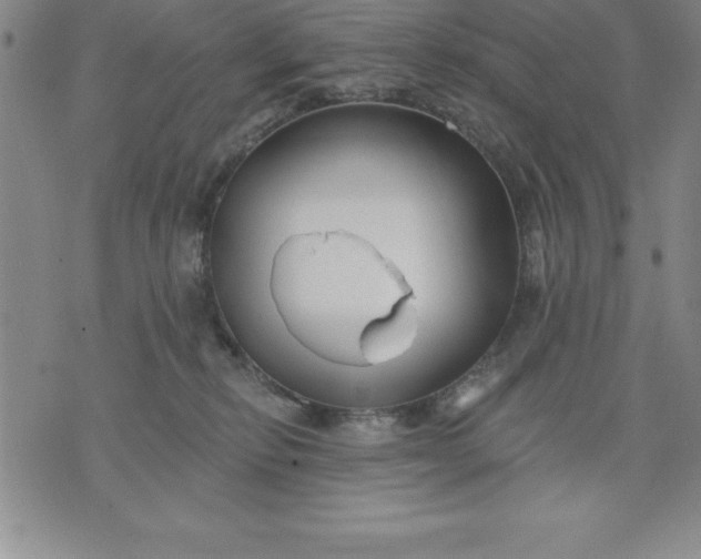 X0000071850278200607141758