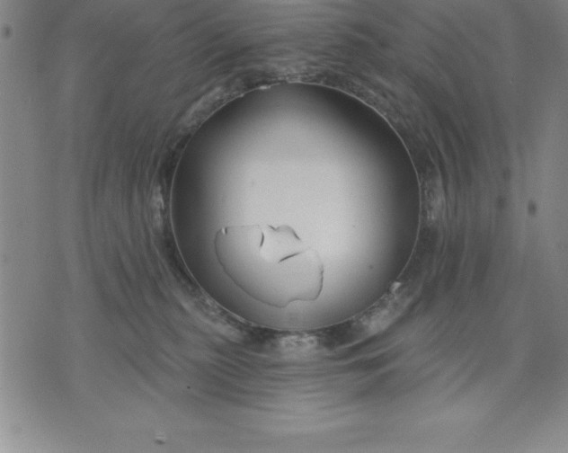 X0000071850279200607141758