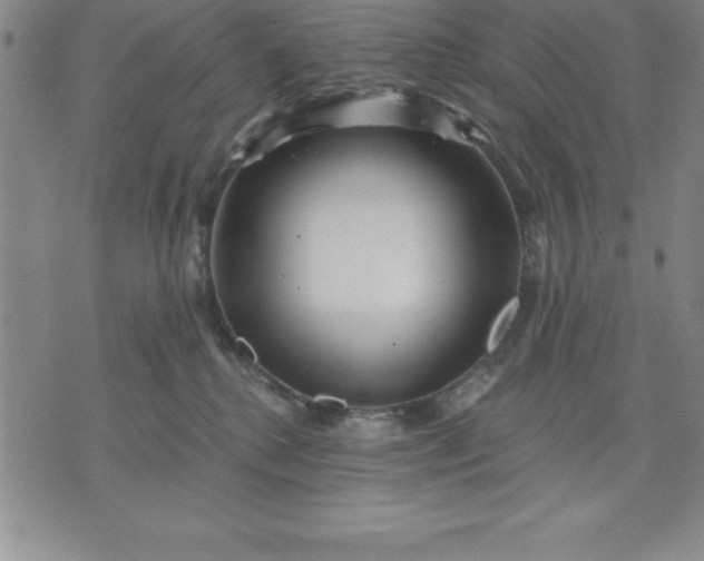 X0000071850280200607141758