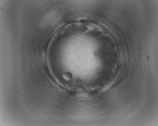 X0000071850281200607141758