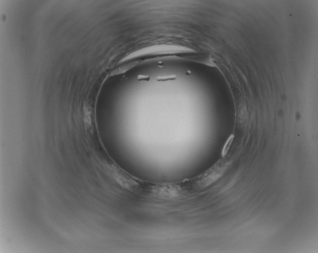 X0000071850282200607141758