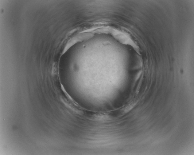 X0000071850284200607141758