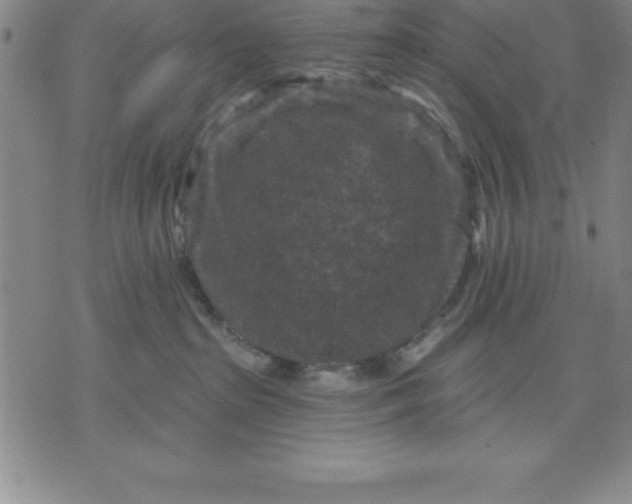 X0000071850285200607141758