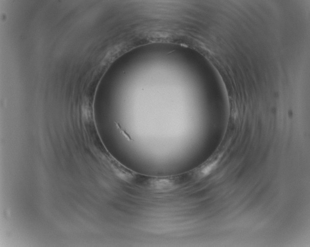 X0000071850287200607141758