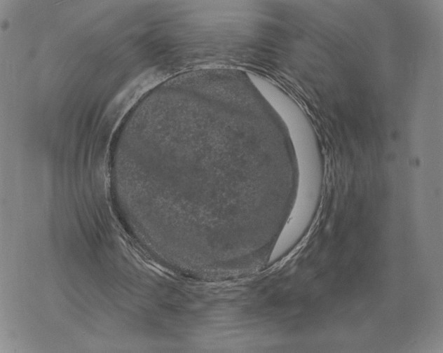 X0000071850290200607141757