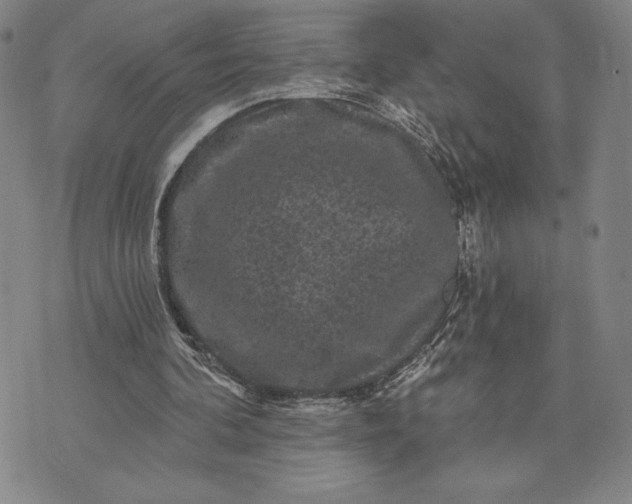 X0000071850292200607141757