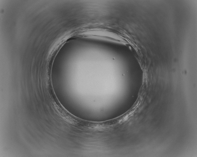 X0000071850293200607141757