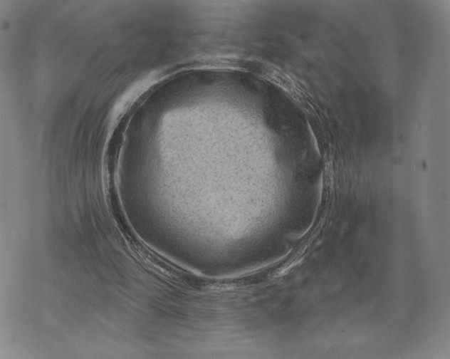 X0000071850294200607141757