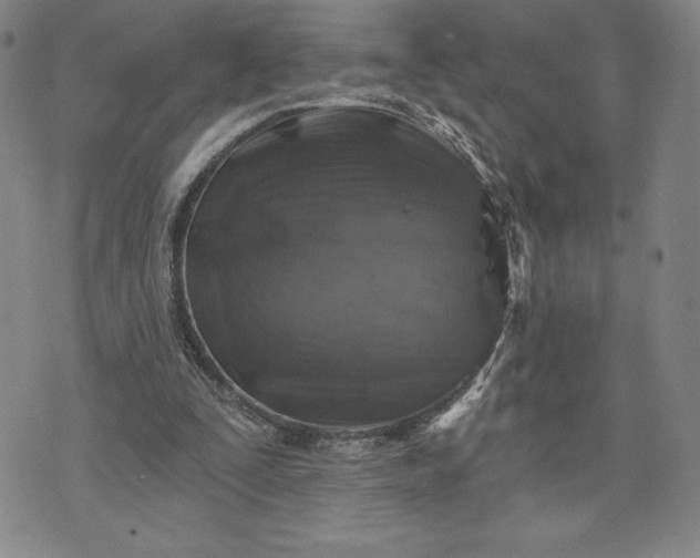 X0000071850295200607141757