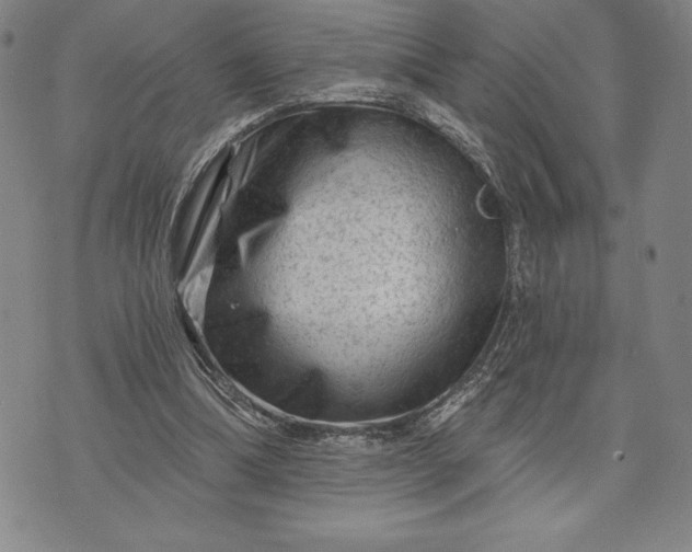 X0000071850298200607141757