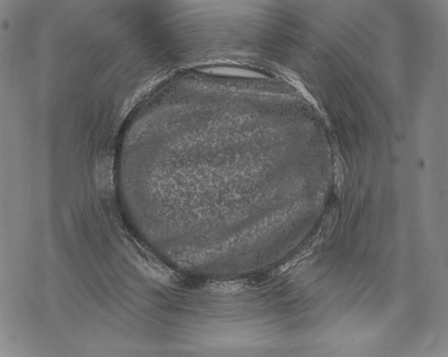 X0000071850299200607141757