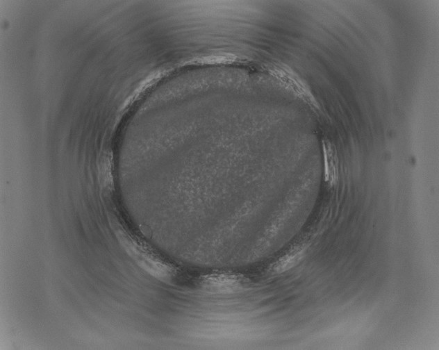 X0000071850300200607141757