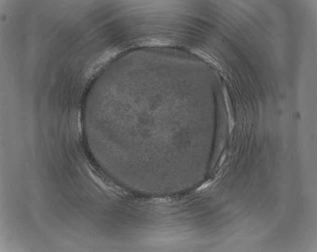 X0000071850302200607141757