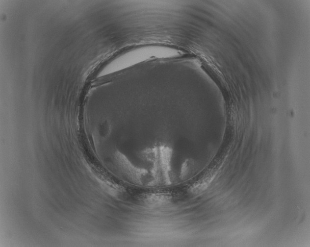 X0000071850303200607141757