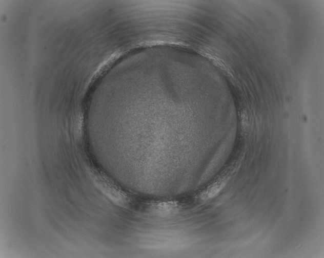 X0000071850304200607141757