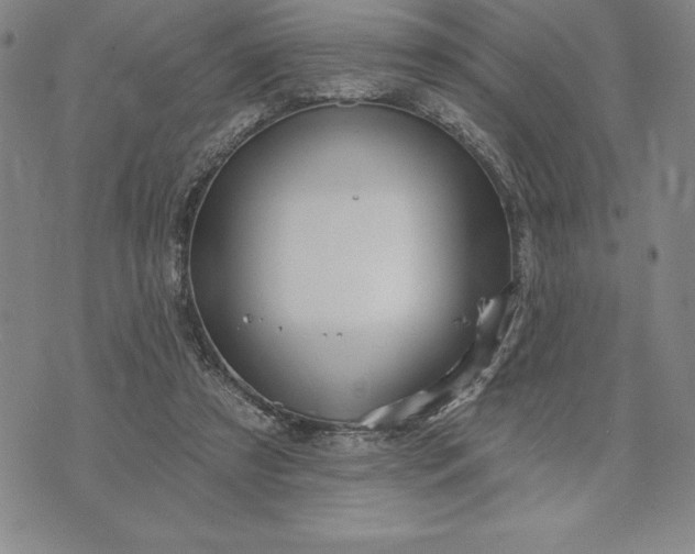 X0000071850305200607141757