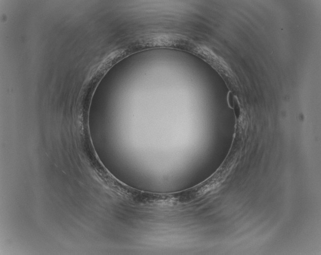 X0000071850306200607141757