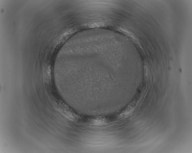 X0000071850308200607141757