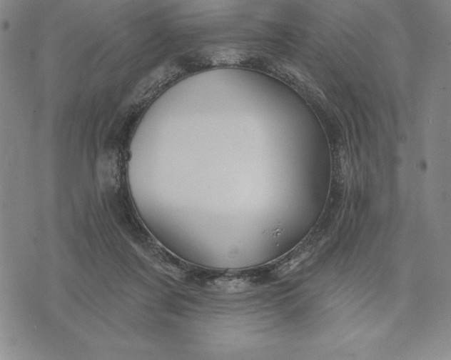 X0000071850311200607141757