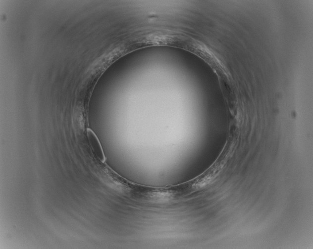 X0000071850313200607141757