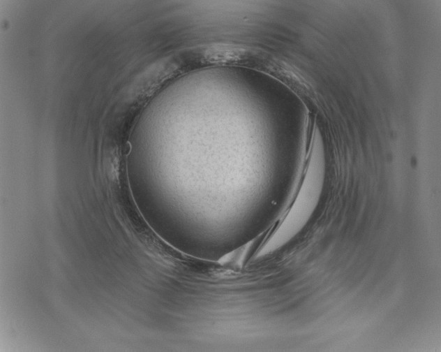 X0000071850315200607141756