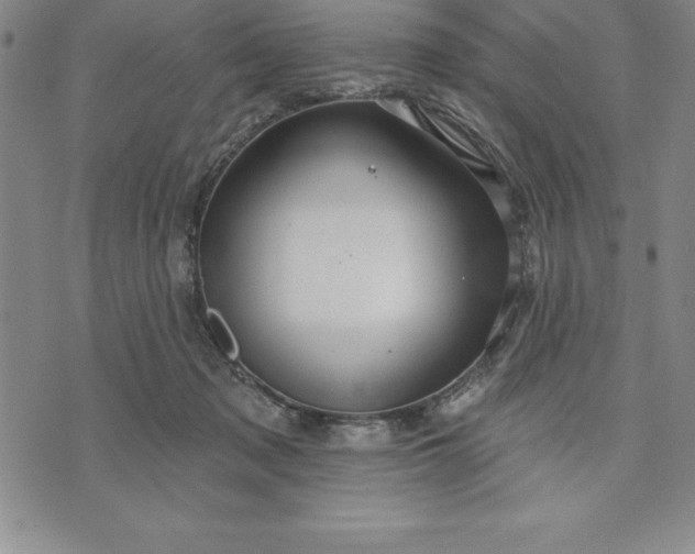 X0000071850317200607141756